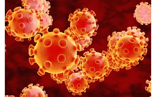 Koronavírus napi adatok Magyarországon (08.31.)