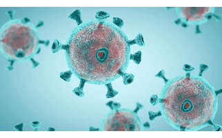 Újabb információk az új koronavírus-variánsról