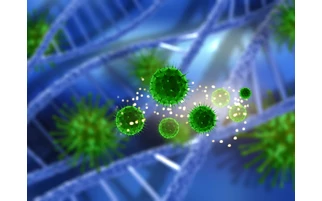 Koronavírus napi adatok Magyarországon (07.08.)