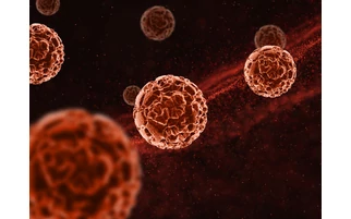 Koronavírus helyzet Magyarországon (04.14.)