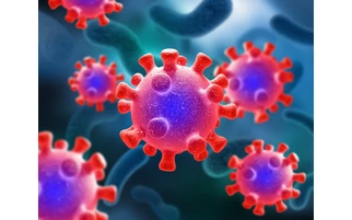 Koronavírus napi adatok Magyarországon (04.25.)