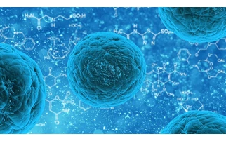 Koronavírus helyzet Magyarországon (03.11.)